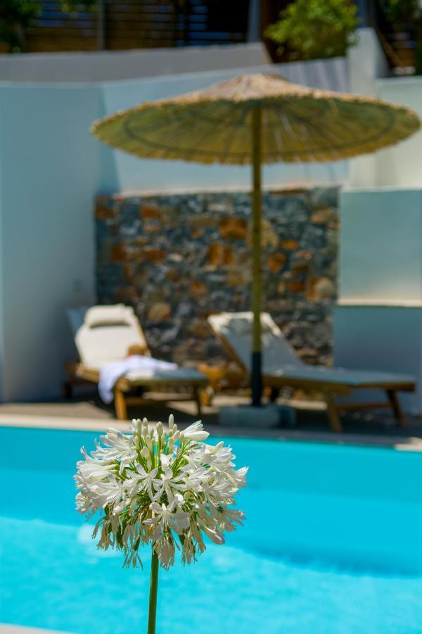 Pakio Luxury Villa : Private Cretan Holidays Mílatos Ngoại thất bức ảnh