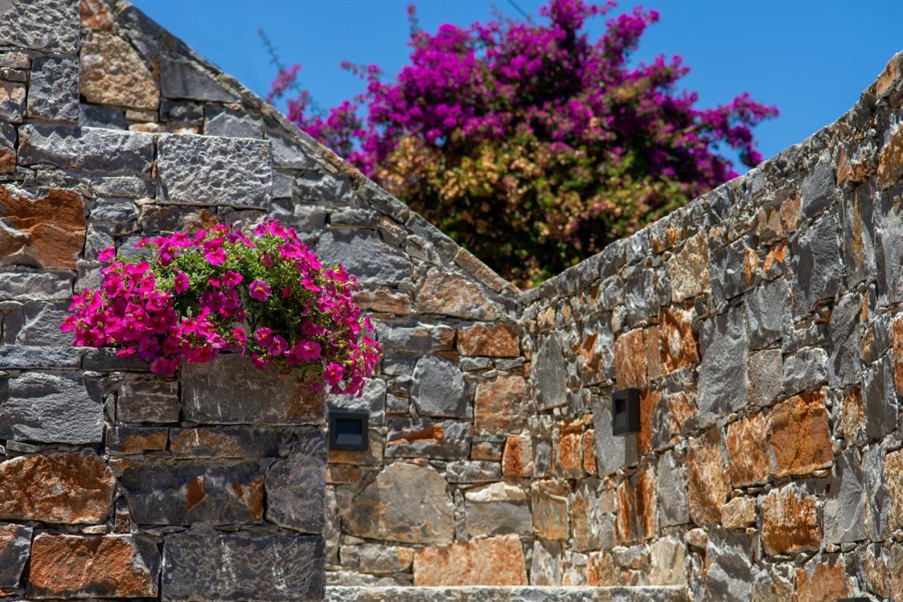 Pakio Luxury Villa : Private Cretan Holidays Mílatos Ngoại thất bức ảnh