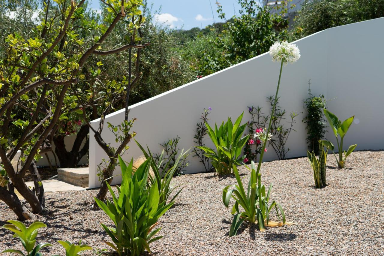 Pakio Luxury Villa : Private Cretan Holidays Mílatos Ngoại thất bức ảnh